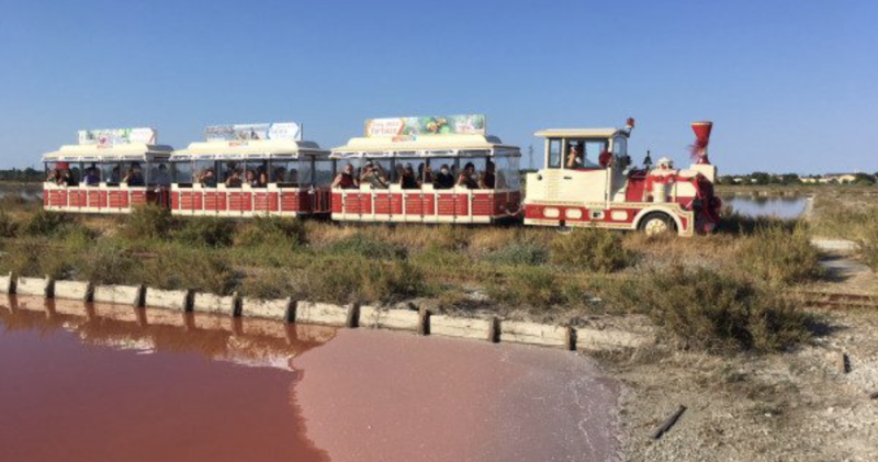 Trenino in Salina